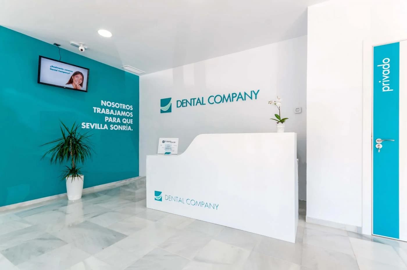 Dental Company 4