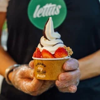 Lettus 4