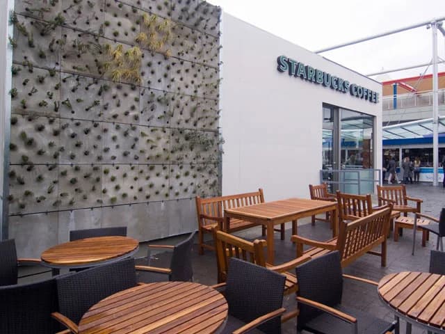 Starbucks 5