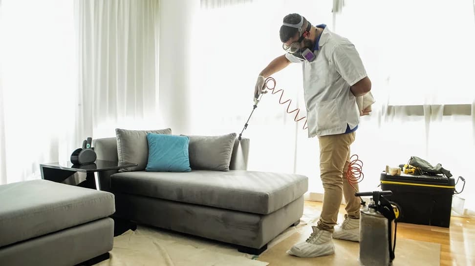 The Clean House 3