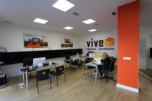 Vive Soluciones Inmobiliarias 5